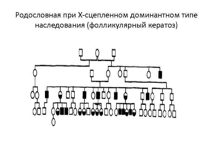 Родословная при Х-сцепленном доминантном типе наследования (фолликулярный кератоз) 