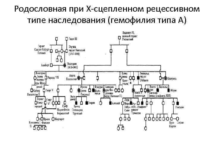 Родословная при Х-сцепленном рецессивном типе наследования (гемофилия типа А) 