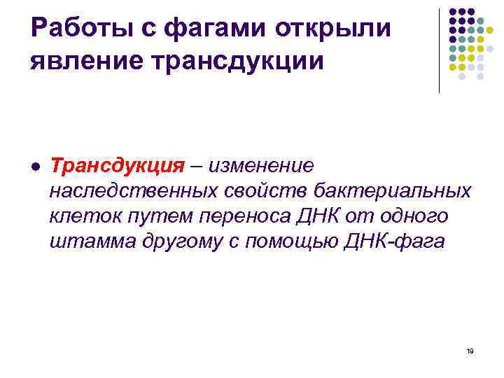 Работы с фагами открыли явление трансдукции l Трансдукция – изменение наследственных свойств бактериальных клеток