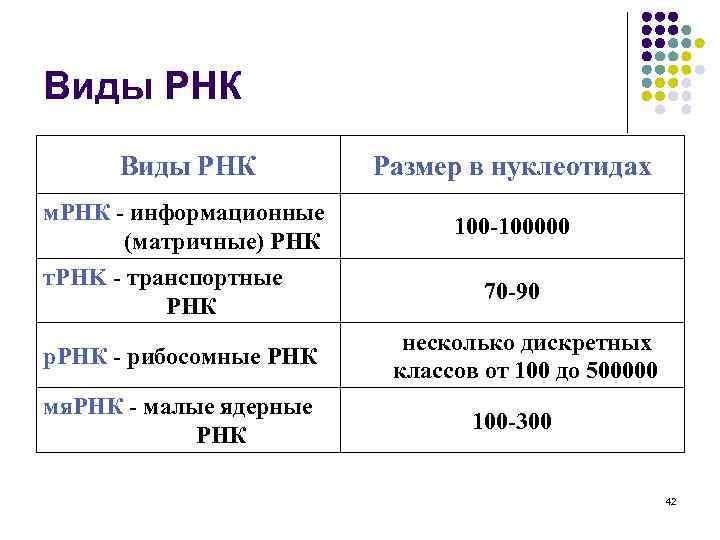 Виды РНК Размер в нуклеотидах м. РНК - информационные (матричные) РНК 100 -100000 т.