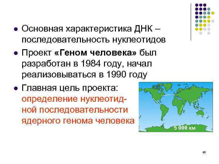 l l l Основная характеристика ДНК – последовательность нуклеотидов Проект «Геном человека» был разработан