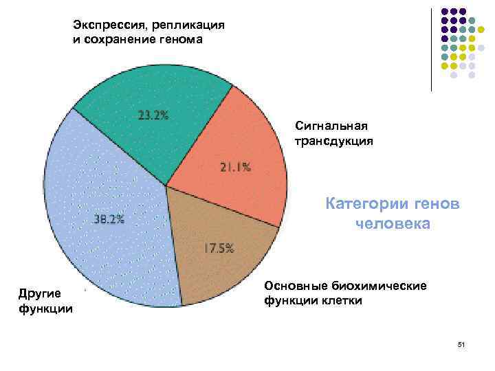 Экспрессия, репликация и сохранение генома Сигнальная трансдукция Категории генов человека Другие функции Основные биохимические