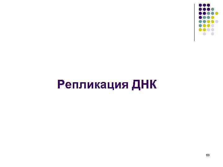 Репликация ДНК 63 