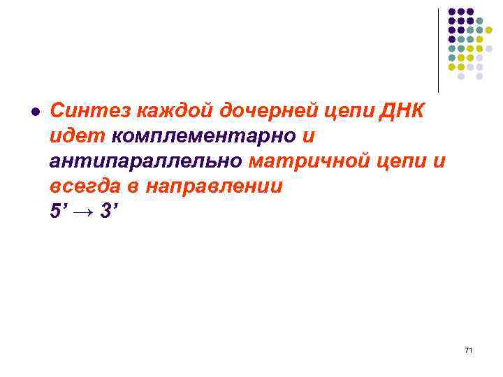 l Синтез каждой дочерней цепи ДНК идет комплементарно и антипараллельно матричной цепи и всегда