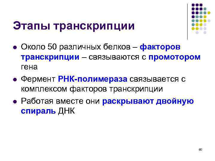 Этапы транскрипции l l l Около 50 различных белков – факторов транскрипции – связываются