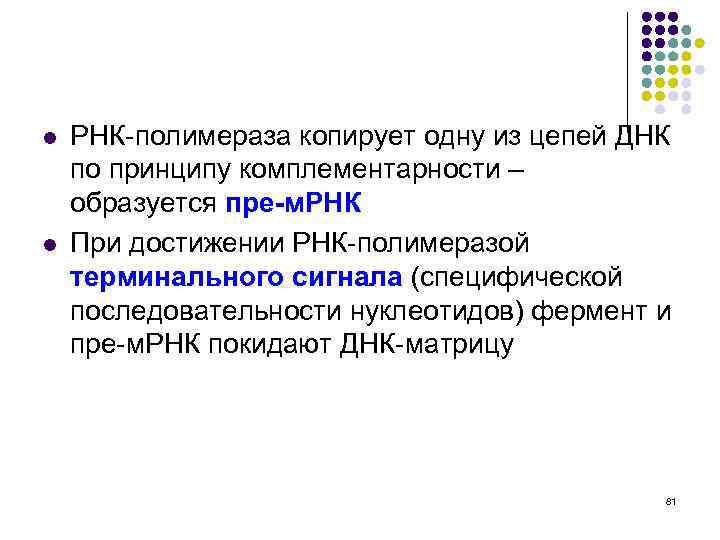 l l РНК-полимераза копирует одну из цепей ДНК по принципу комплементарности – образуется пре-м.