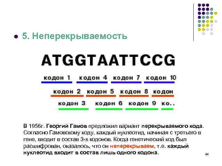 l 5. Неперекрываемость В 1956 г. Георгий Гамов предложил вариант перекрываемого кода. Согласно Гамовскому