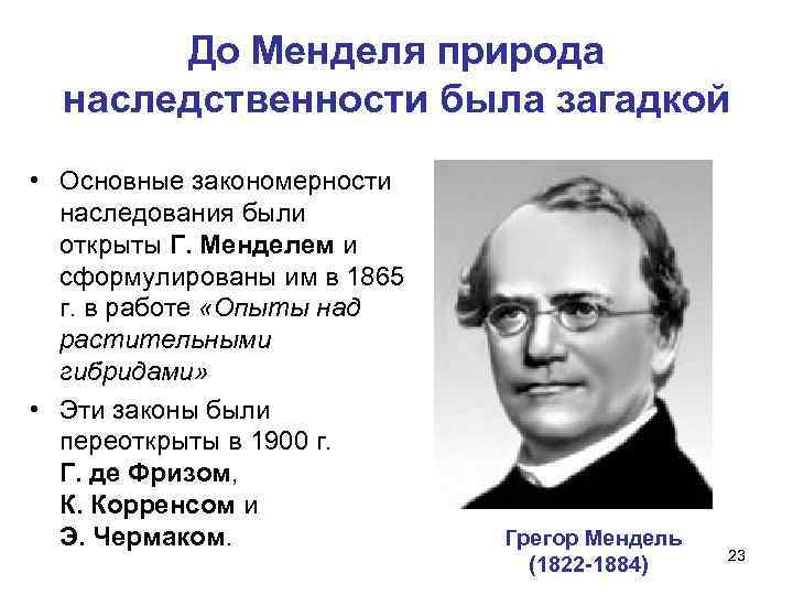 До Менделя природа наследственности была загадкой • Основные закономерности наследования были открыты Г. Менделем