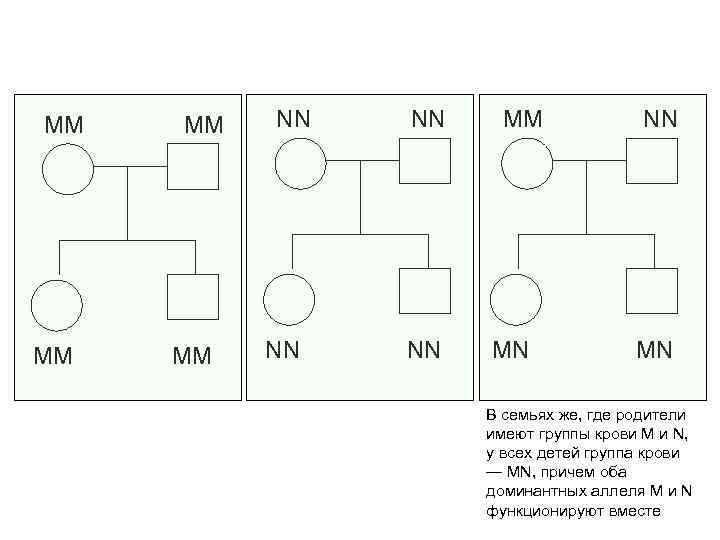 ММ ММ NN NN MM MN NN MN В семьях же, где родители имеют