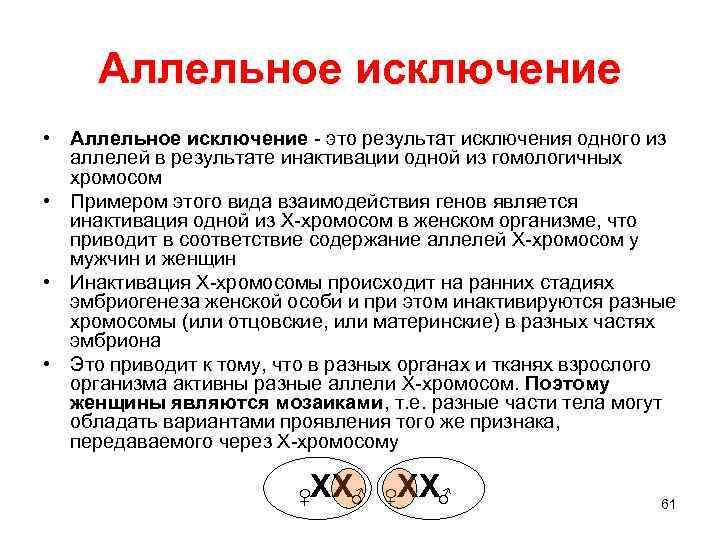 Аллельное исключение • Аллельное исключение - это результат исключения одного из аллелей в результате