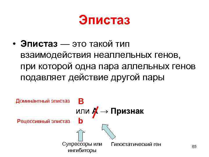 Эпистаз • Эпистаз — это такой тип взаимодействия неаллельных генов, при которой одна пара