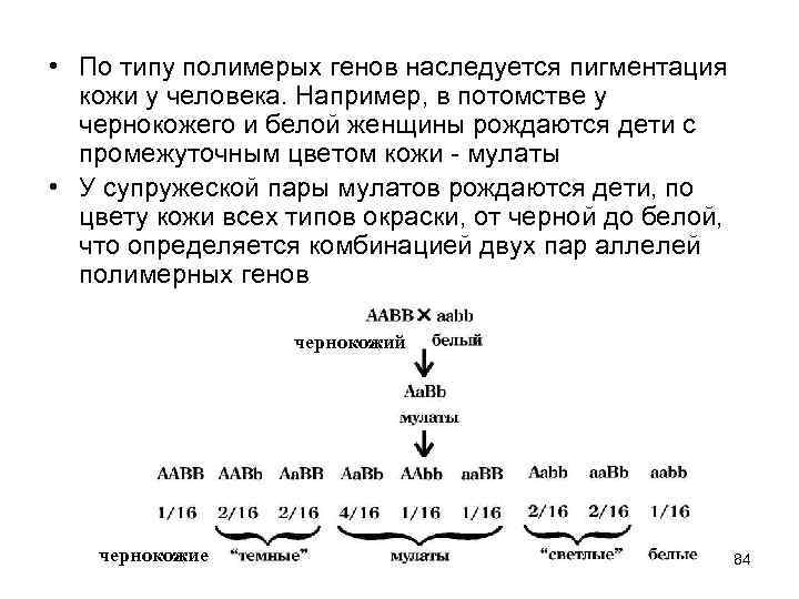  • По типу полимерых генов наследуется пигментация кожи у человека. Например, в потомстве