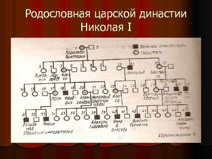 Родословная царской династии Николая I 