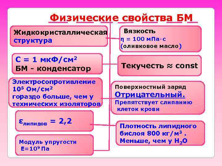 Физические свойства БМ Жидкокристаллическая структура С = 1 мк. Ф/см 2 БМ - конденсатор