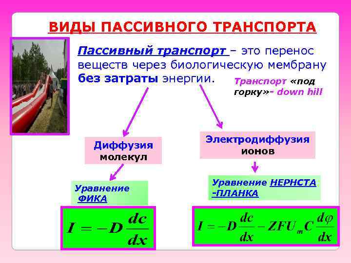 ВИДЫ ПАССИВНОГО ТРАНСПОРТА Пассивный транспорт – это перенос веществ через биологическую мембрану без затраты