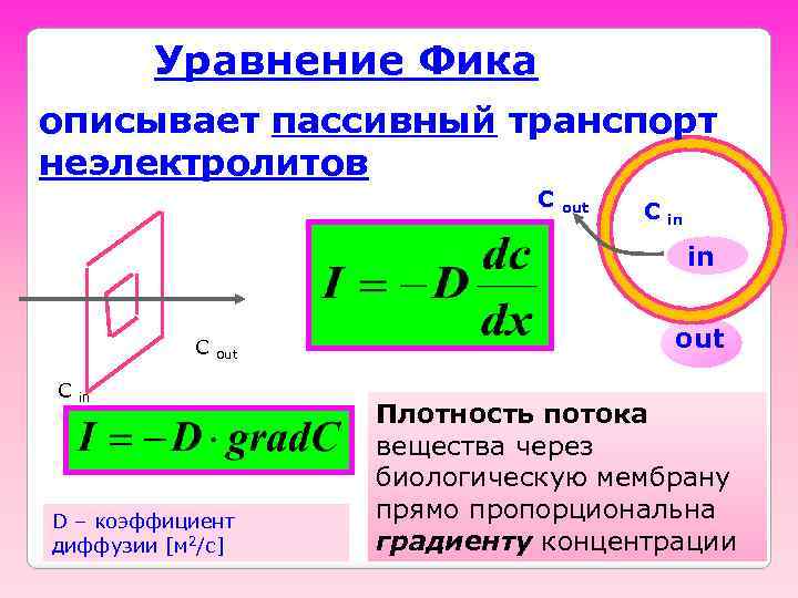 Уравнение Фика описывает пассивный транспорт неэлектролитов C out C in in in C C