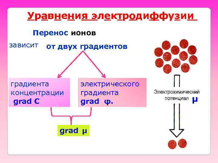 Уравнения электродиффузии Перенос ионов зависит от двух градиентов градиента концентрации grad C электрического градиента