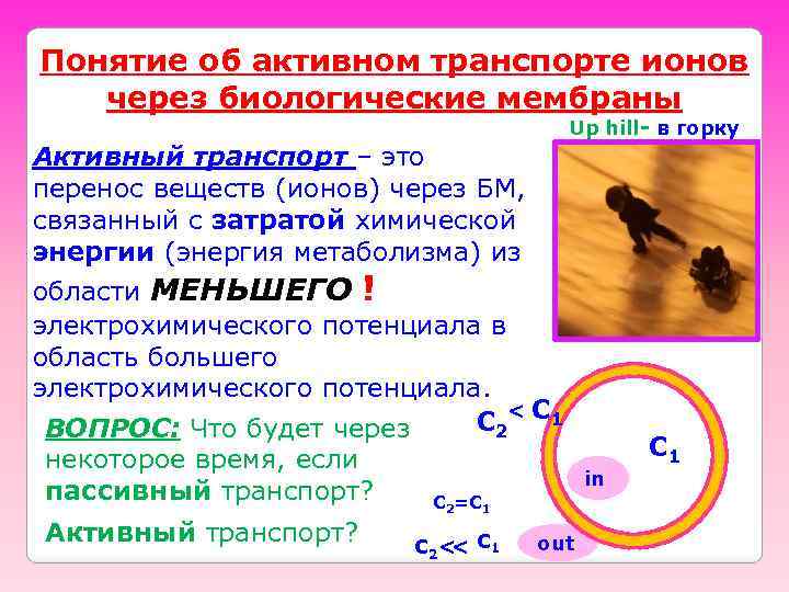 Понятие об активном транспорте ионов через биологические мембраны Up hill- в горку Активный транспорт