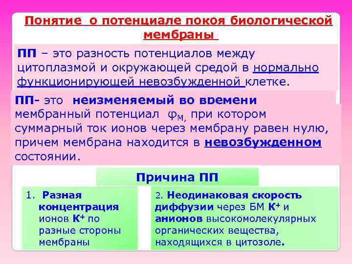 Понятие о потенциале покоя биологической мембраны ПП – это разность потенциалов между цитоплазмой и