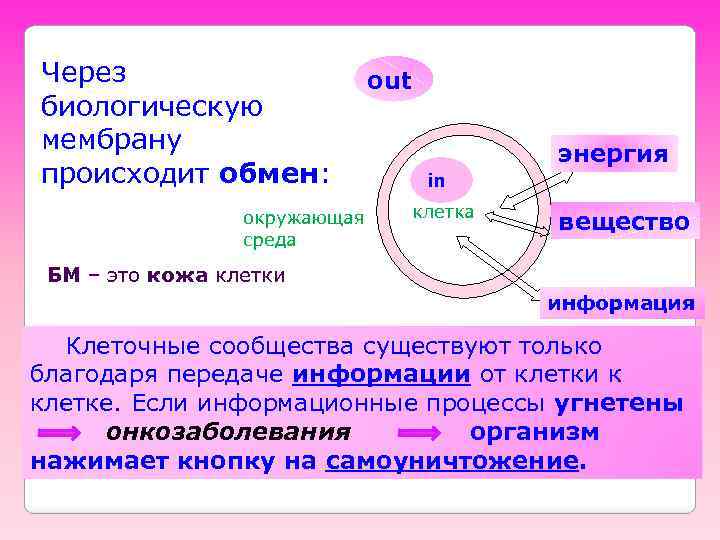 Через биологическую мембрану происходит обмен: окружающая среда out in in клетка энергия вещество БМ