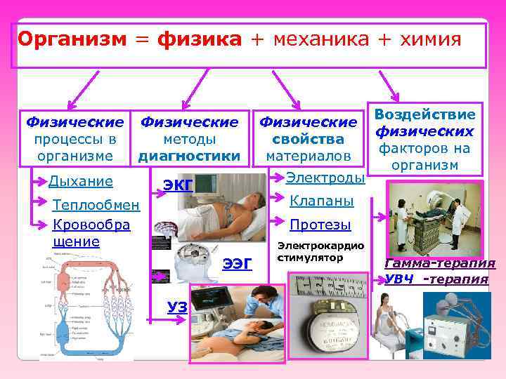 Организм = физика + механика + химия Физические процессы в организме Физические методы диагностики