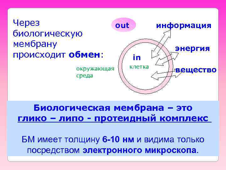 Через биологическую мембрану происходит обмен: окружающая среда out информация in клетка энергия вещество Биологическая