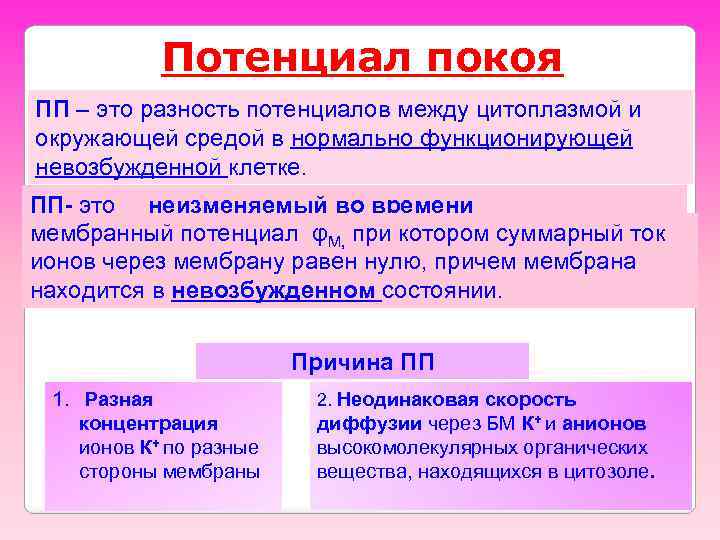 Потенциал покоя ПП – это разность потенциалов между цитоплазмой и окружающей средой в нормально