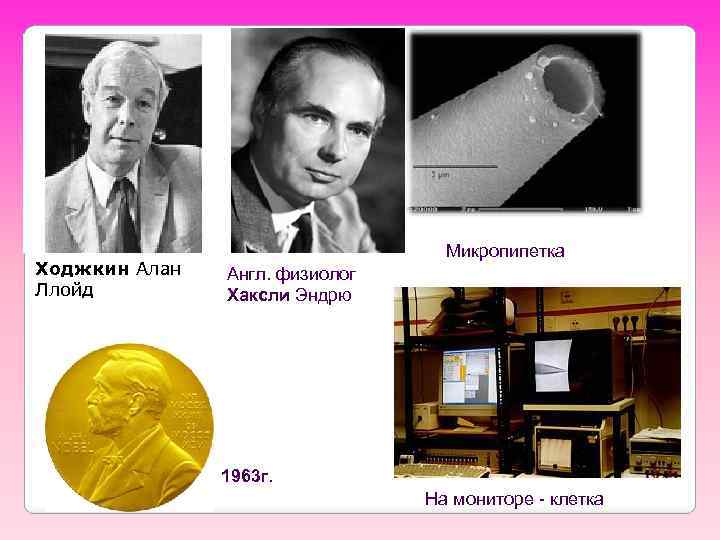 Ходжкин Алан Ллойд Микропипетка Англ. физиолог Хаксли Эндрю 1963 г. На мониторе - клетка