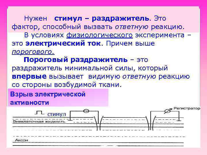 Нужен стимул – раздражитель. Это фактор, способный вызвать ответную реакцию. В условиях физиологического эксперимента