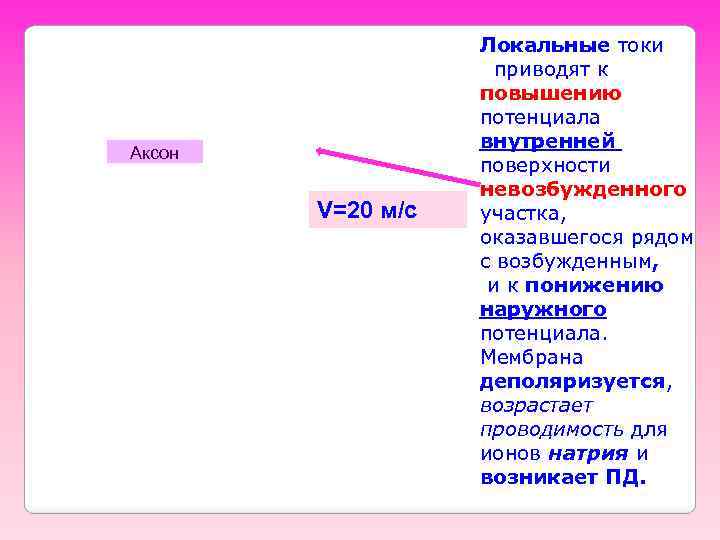 Аксон V=20 м/с Локальные токи приводят к повышению потенциала внутренней поверхности невозбужденного участка, оказавшегося