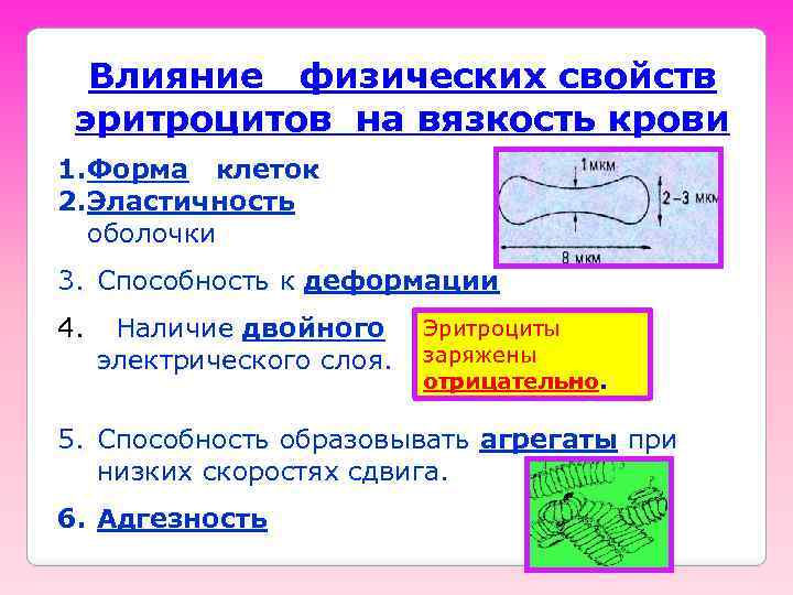 Влияние физических свойств эритроцитов на вязкость крови 1. Форма клеток 2. Эластичность оболочки 3.