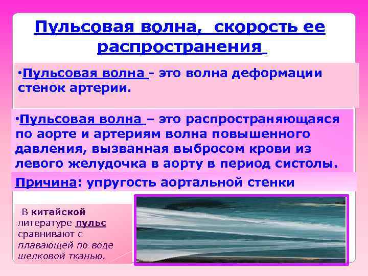 Пульсовая волна, скорость ее распространения • Пульсовая волна - это волна деформации стенок артерии.