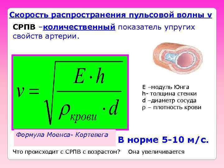 Скорость распространения пульсовой волны v СРПВ –количественный показатель упругих свойств артерии. Е –модуль Юнга