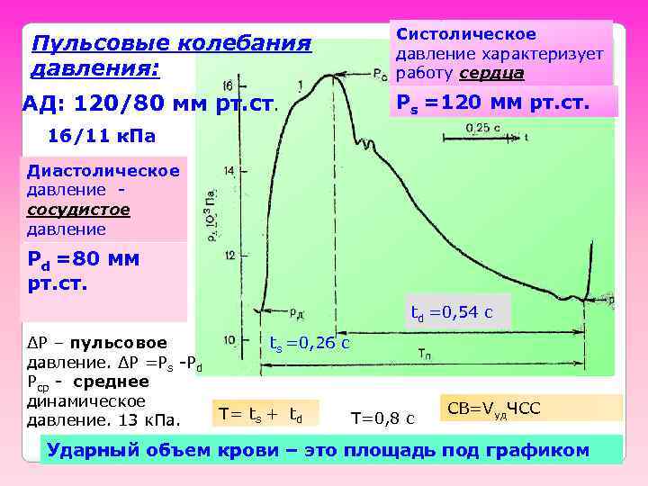 Пульсовые колебания давления: АД: 120/80 мм рт. ст. Систолическое давление характеризует работу сердца Ps