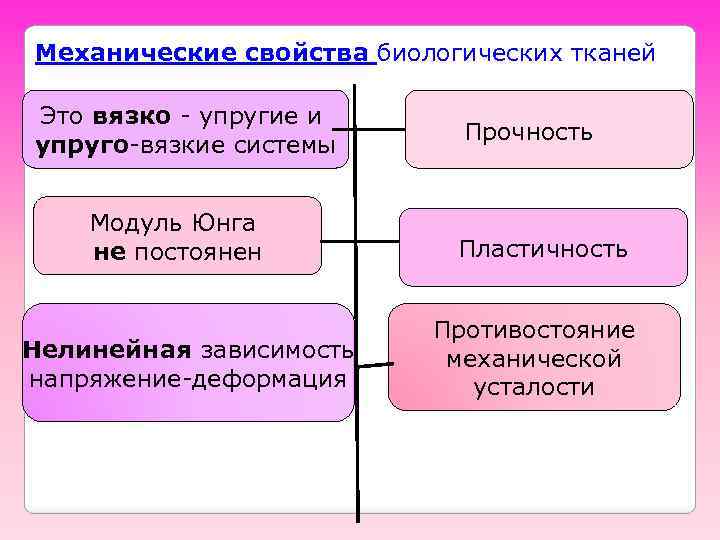 Механические свойства биологических тканей Это вязко - упругие и упруго-вязкие системы Модуль Юнга не