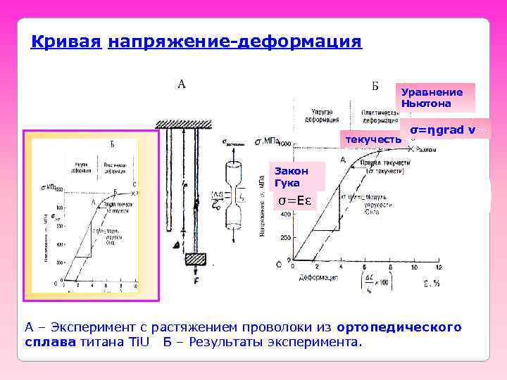 Кривая напряжение-деформация Уравнение Ньютона текучесть σ=ηgrad v Закон Гука σ=Еε Кривая напряжение-деформация A –