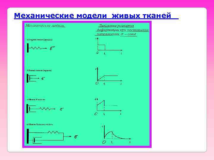  Механические модели живых тканей 