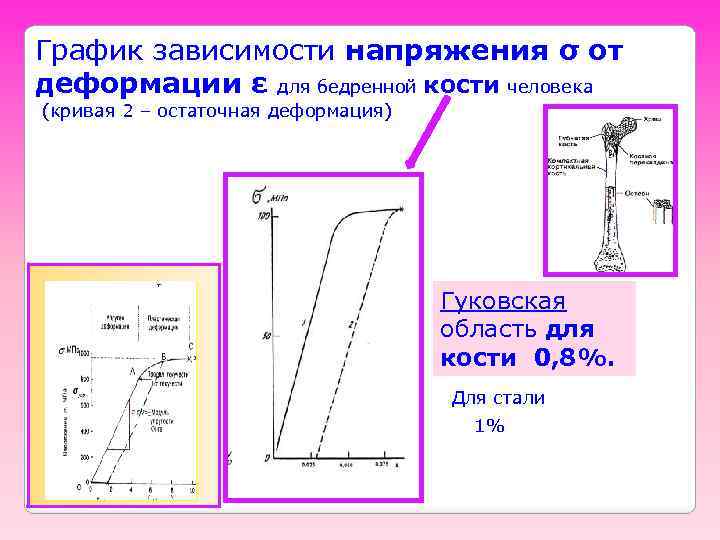 График зависимости напряжения σ от деформации ε для бедренной кости человека (кривая 2 –