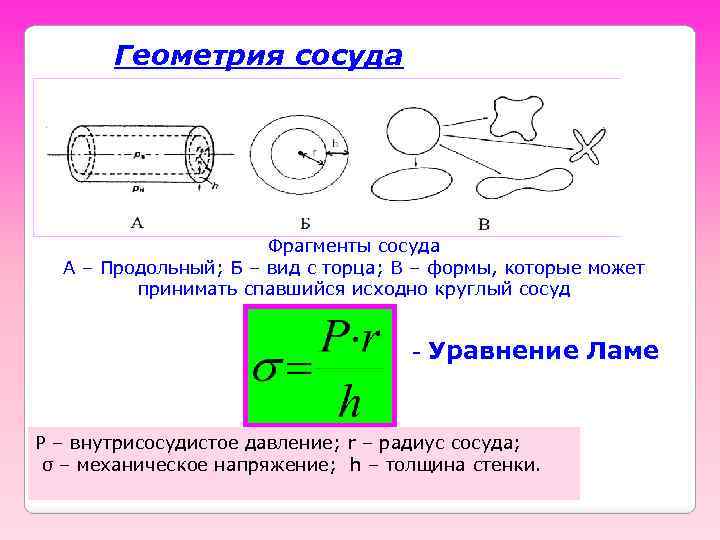 Геометрия сосуда Фрагменты сосуда А – Продольный; Б – вид с торца; В –