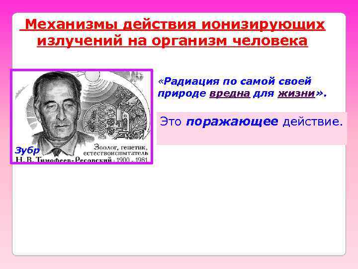 Механизмы действия ионизирующих излучений на организм человека «Радиация по самой своей природе вредна для