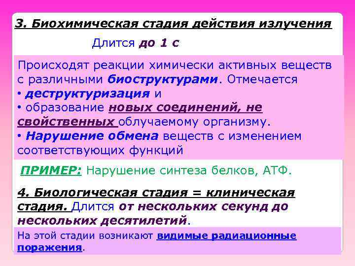 3. Биохимическая стадия действия излучения Длится до 1 с Происходят реакции химически активных веществ