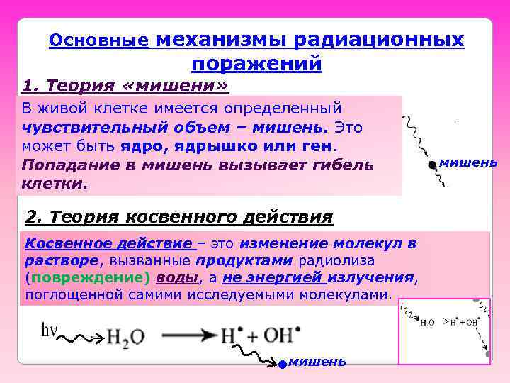 Основные механизмы радиационных поражений 1. Теория «мишени» В живой клетке имеется определенный чувствительный объем