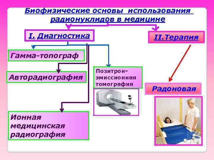 Биофизические основы использования радионуклидов в медицине I. Диагностика II. Терапия Гамма-топограф Авторадиография Ионная медицинская