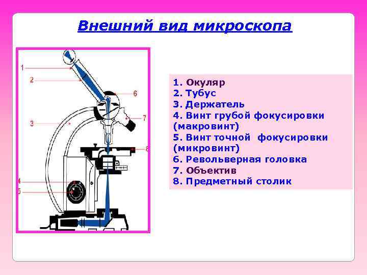 Внешний вид микроскопа 1. Окуляр 2. Тубус 3. Держатель 4. Винт грубой фокусировки (макровинт)