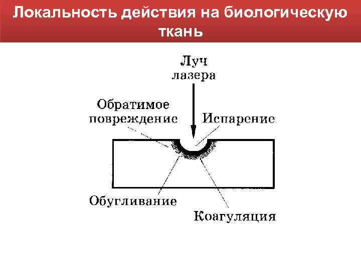 Локальность действия на биологическую ткань 