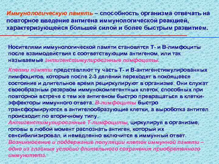 Иммунологическую память – способность организма отвечать на повторное введение антигена иммунологической реакцией, характеризующейся большей