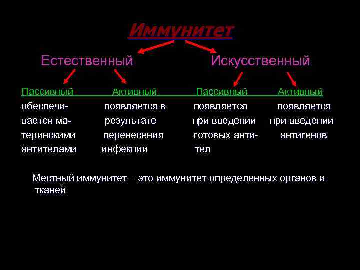 Иммунитет Естественный Пассивный обеспечивается материнскими антителами Активный появляется в результате перенесения инфекции Искусственный Пассивный