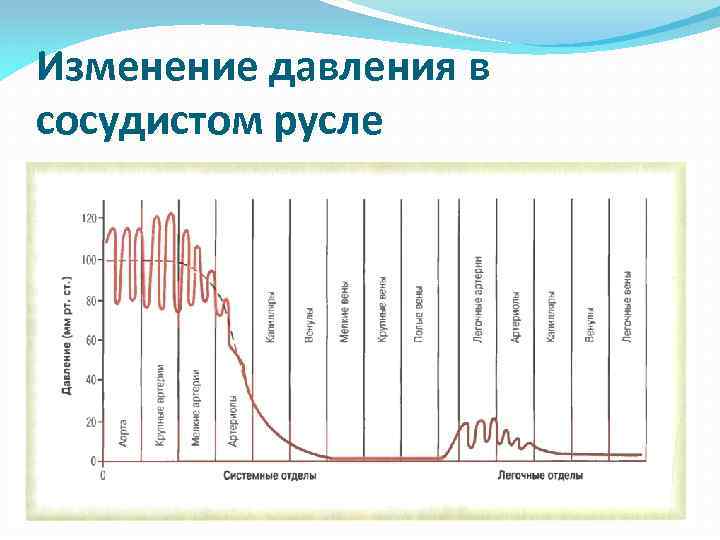 Изменение давления в сосудистом русле 