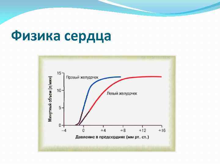 Физика сердца 