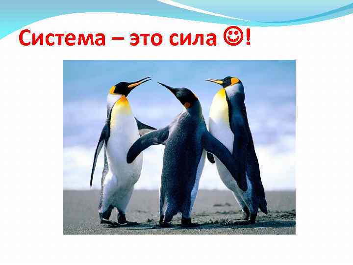 Система – это сила ! 
